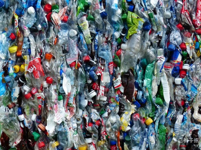 专业回收废塑料瓶（回收废塑料瓶多少钱一斤）