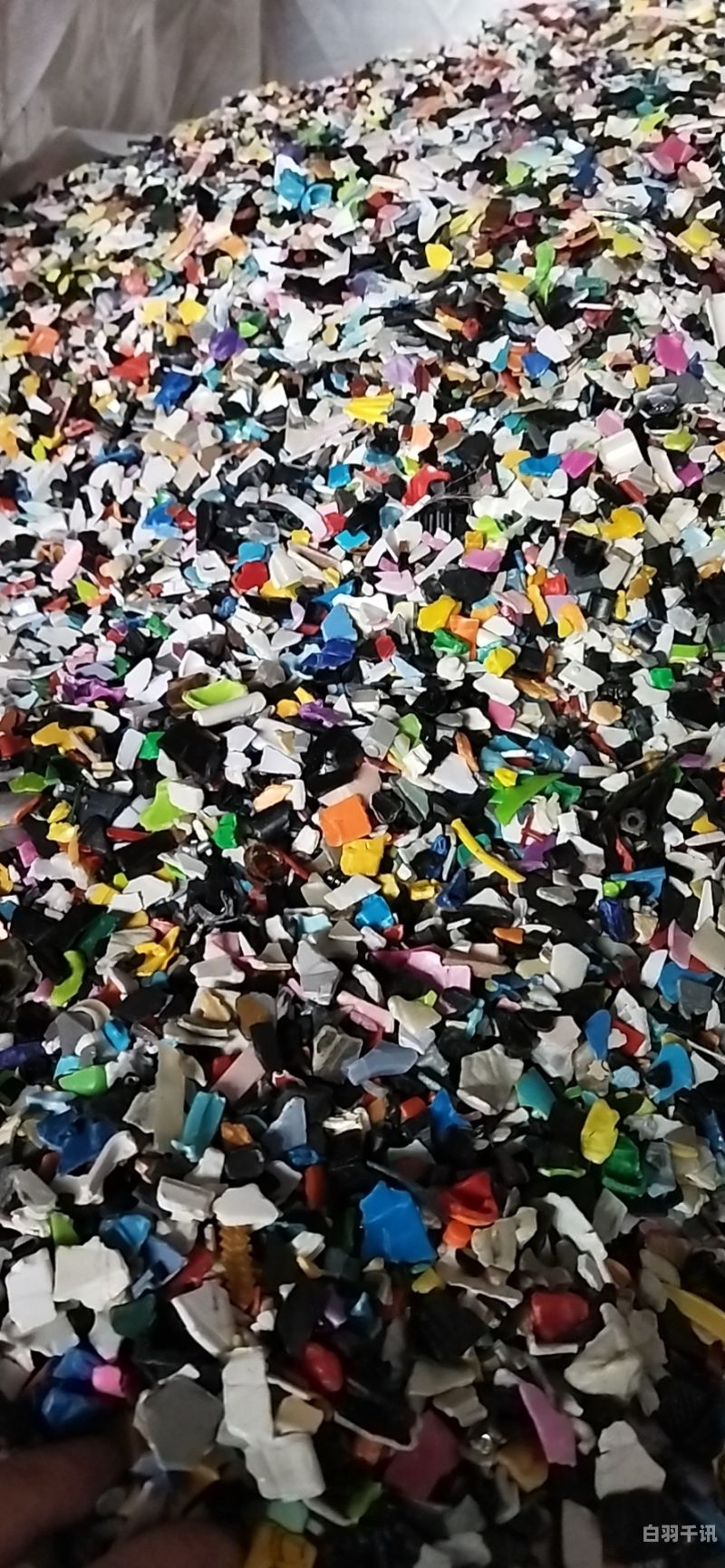 工厂废旧塑料回收太仓市（太仓废塑料市场在哪里）