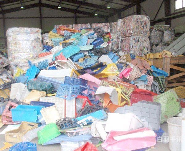 安达县废塑料回收（废塑料回收电话）