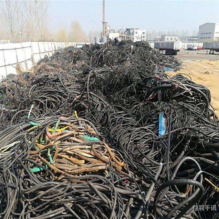 浙江回收废电线电缆（杭州回收电缆线）