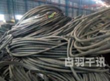 广东金属电缆回收工厂电话（广州回收电缆线）