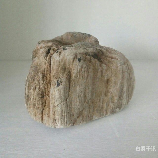 新疆木化石有回收的吗（新疆木头化石）
