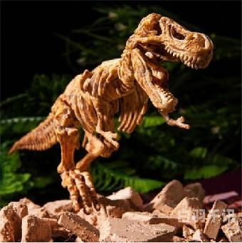 和政县恐龙化石回收公司（收购恐龙化石价格）