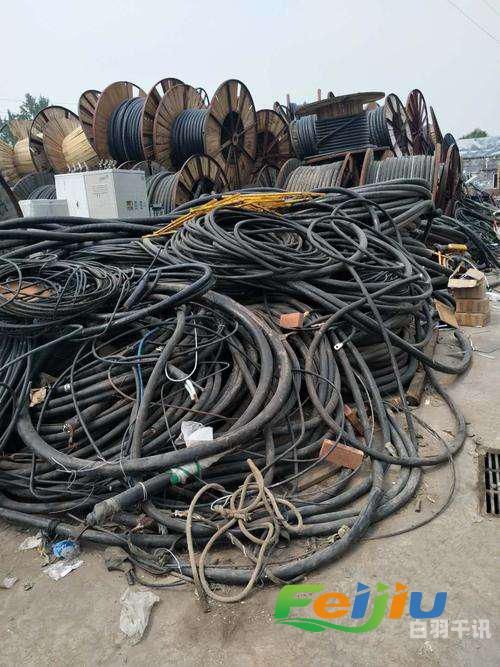 广州回收电线电缆设备电话（广州回收电线电缆设备电话号码）