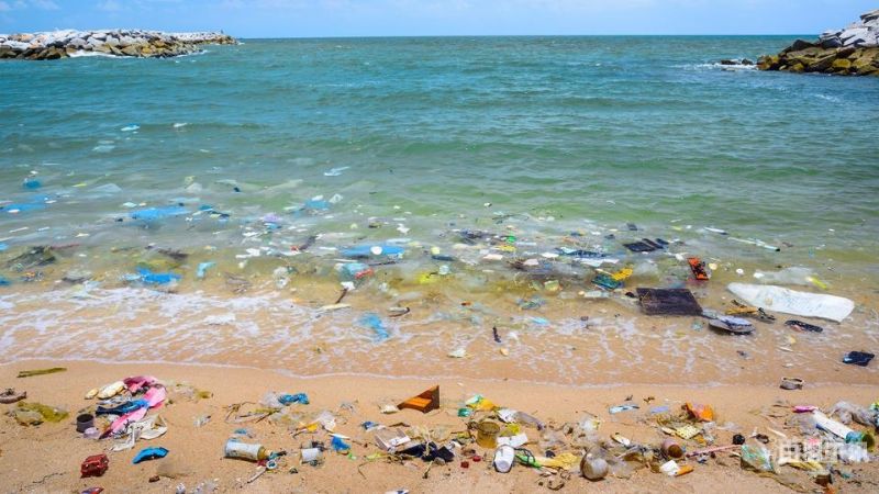 塑料回收保护海洋（塑料回收环保）
